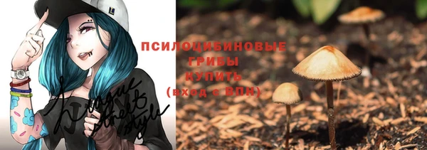 a pvp Гусев