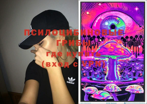 метадон Гусь-Хрустальный