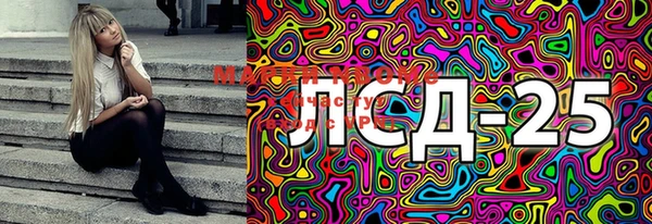 метадон Гусь-Хрустальный